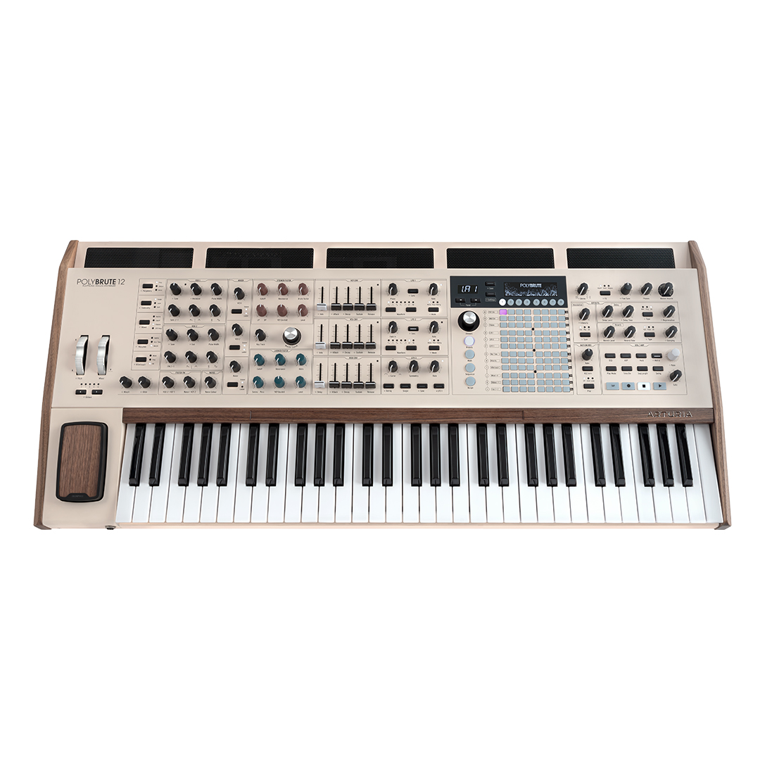 138760 PolyBrute 12 - Image 1