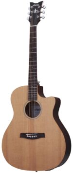 3715 DELUXE ACOUSTIC NS